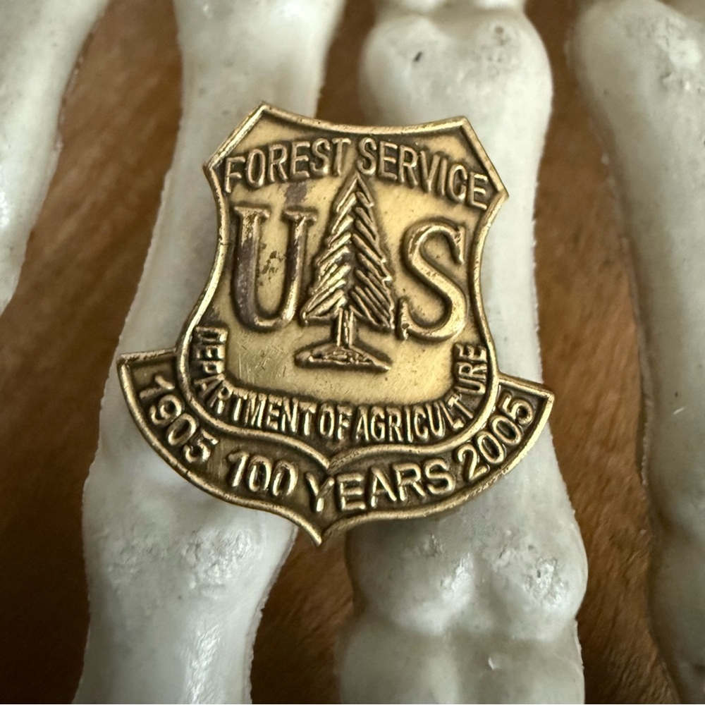 Vintage 2005 US Forest Service USDA 100 Year Anniversary Pin
